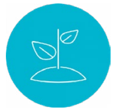 organizational-sustainability